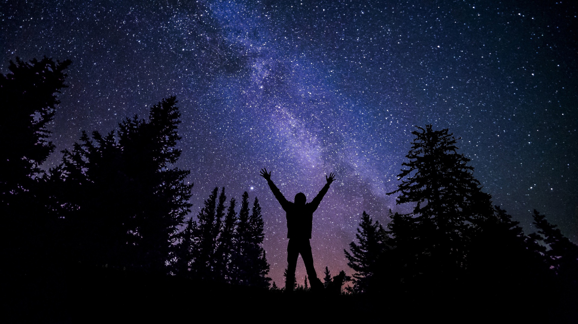 silhouette of man in forest under a starry night sky silhouette of man in forest under a starry night sky